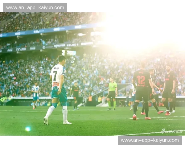 羽毛球球迷文化：从看台到生活的热血传承